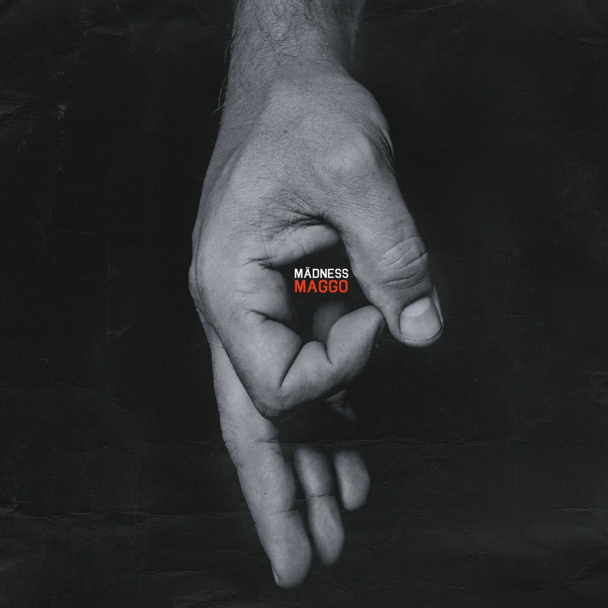 Album cover of Ich sterbe für HipHop