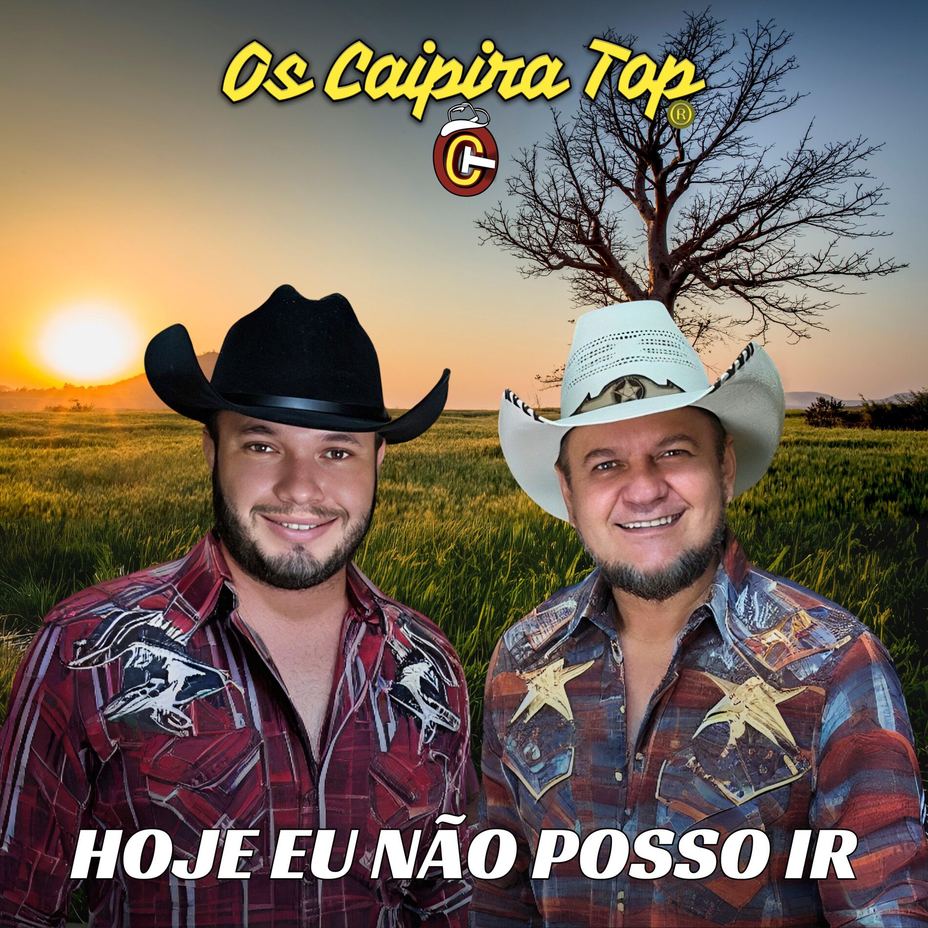 Album cover of Hoje Eu Não Posso Ir