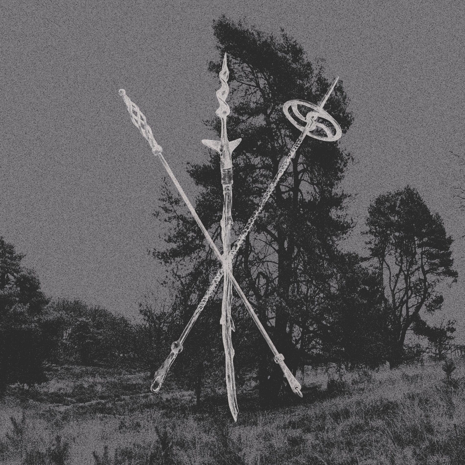 Album cover of Æt wega gelætan