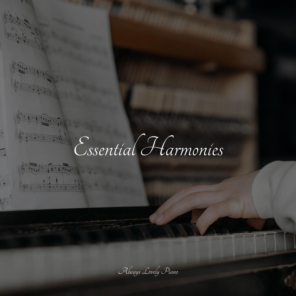 Picture of 50 Relaxing Melodies for Peace & Tranquility
