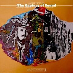 Cover of The Capture of Sound Remixes
