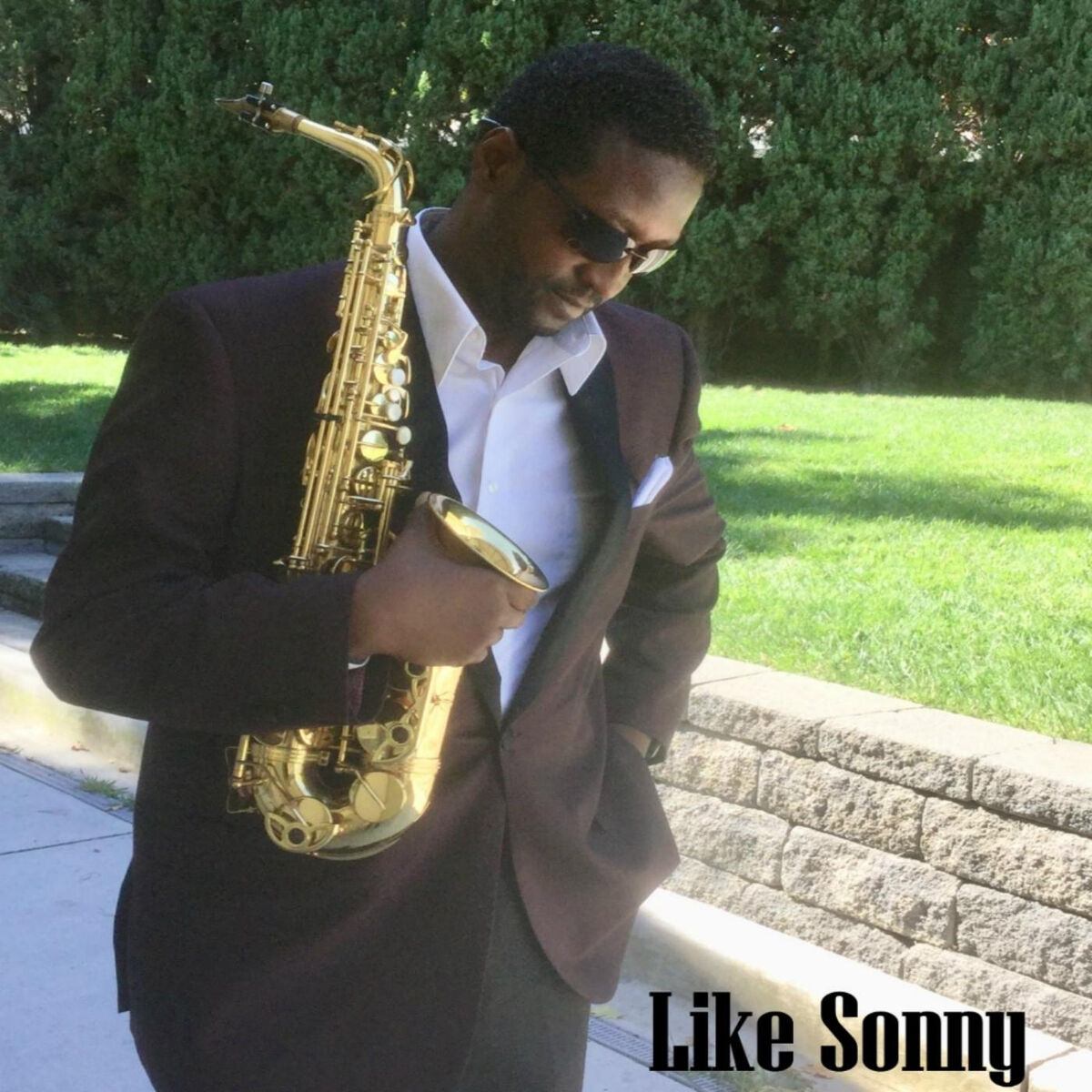 Album cover of Like Sonny