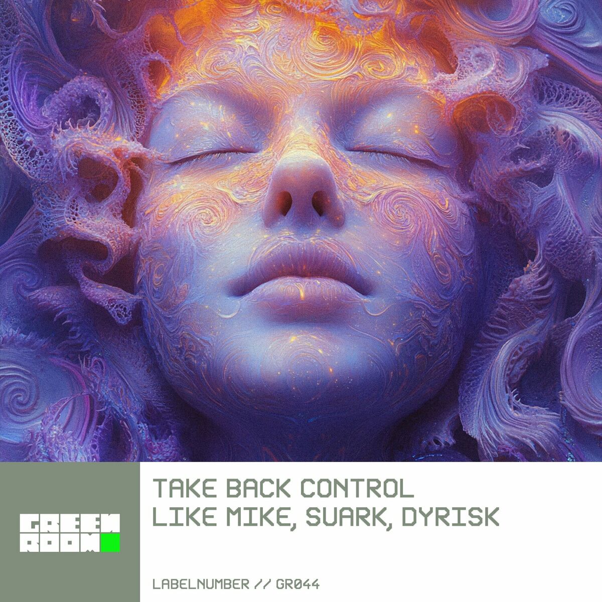 Album cover of Take Back Control