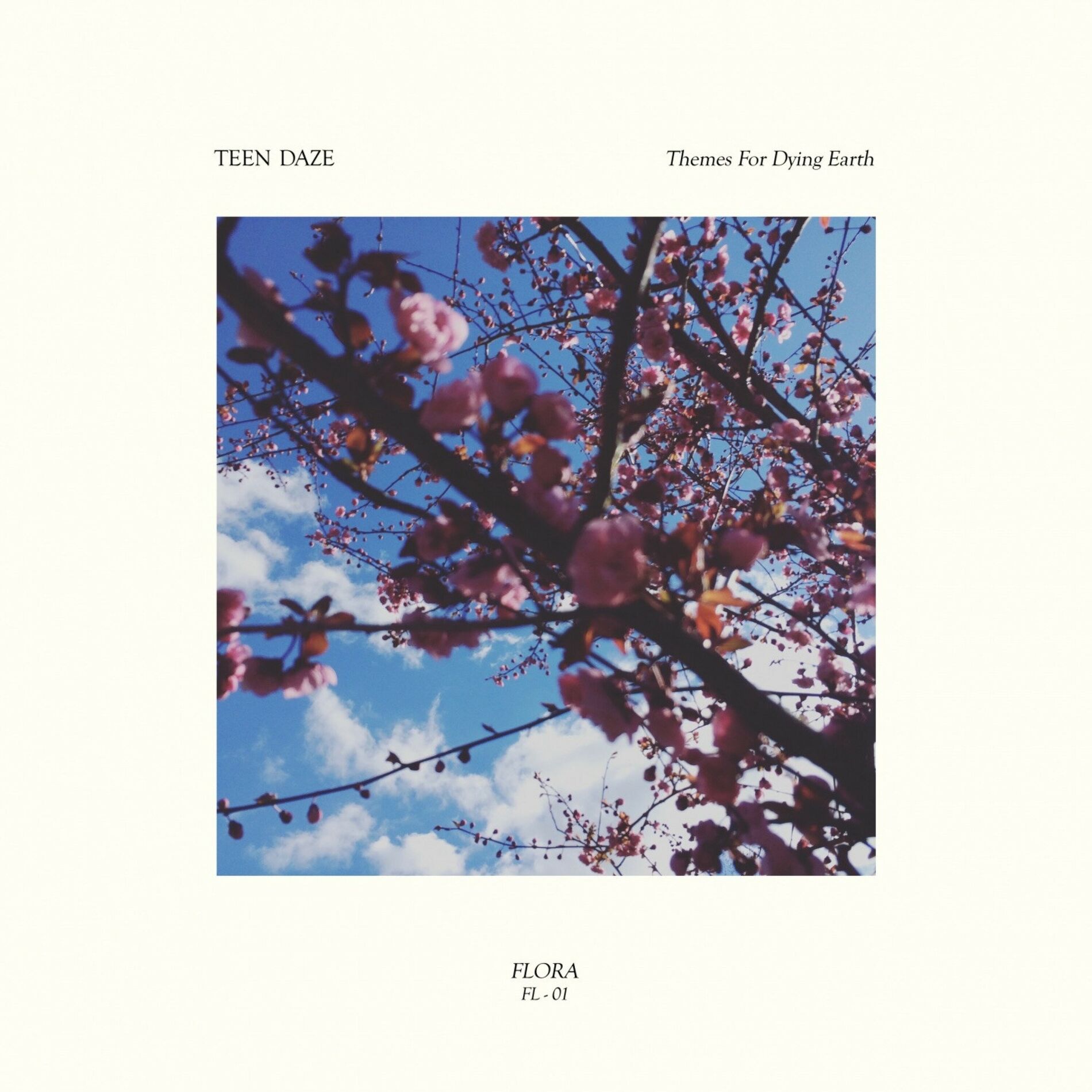 Album cover of Themes for Dying Earth
