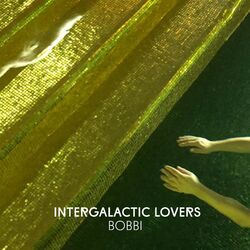 Cover of Bobbi