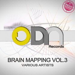 Cover of Brain Mapping Vol 3