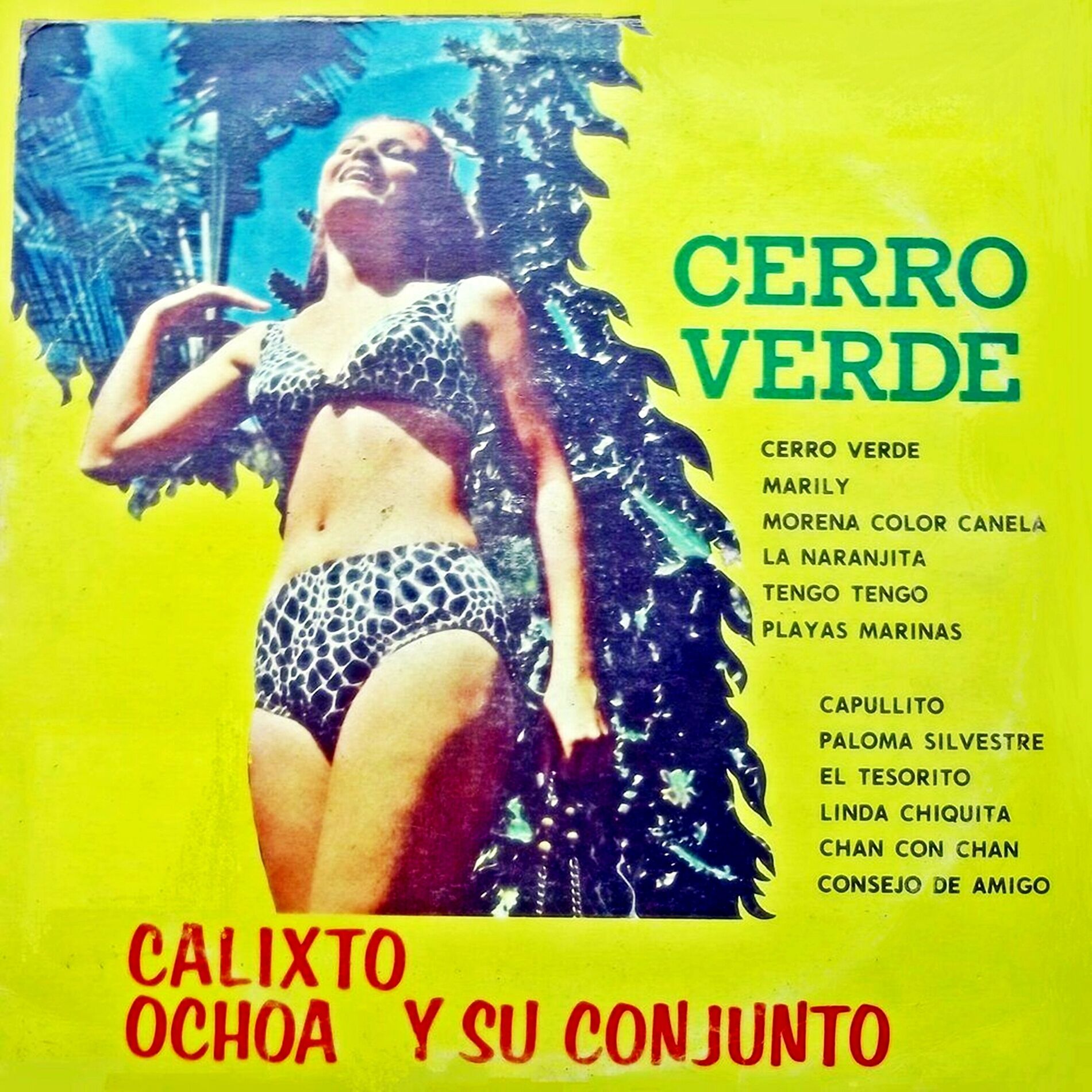 Album cover of Cerro Verde
