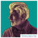 What The World Needs Now (Live) by Michael McDonald album cover