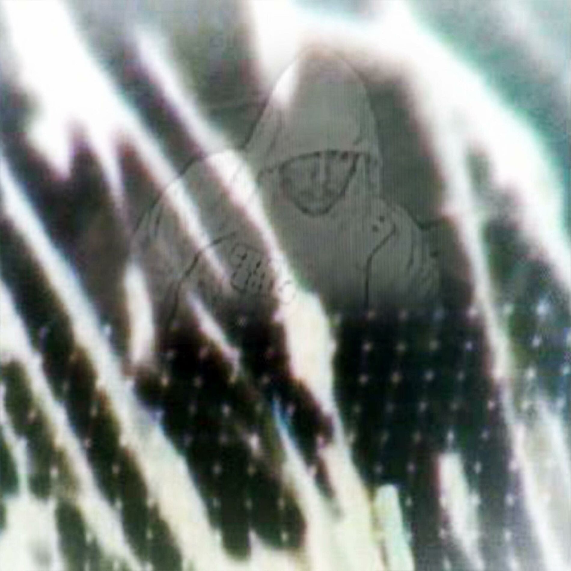 Album cover of The Things Only I Know