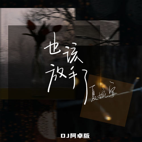 也该放手了 (DJ阿卓版)