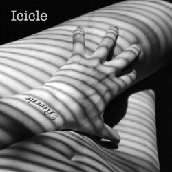 Cover of Reverie