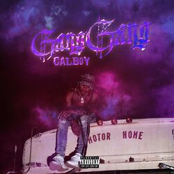 Cover of Gang Gang