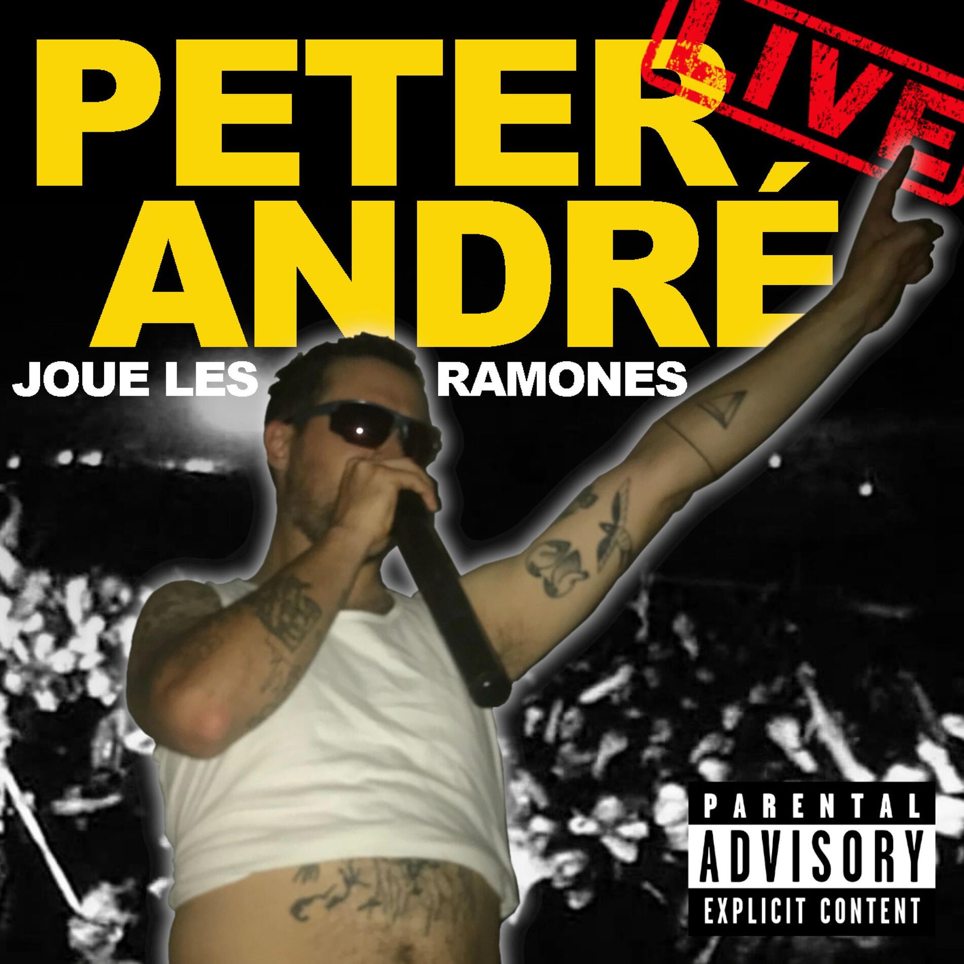 Album cover of Joue les Ramones LIVE
