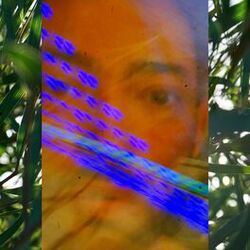 Cover of Chance to Say My Piece