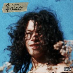 Cover of Saico