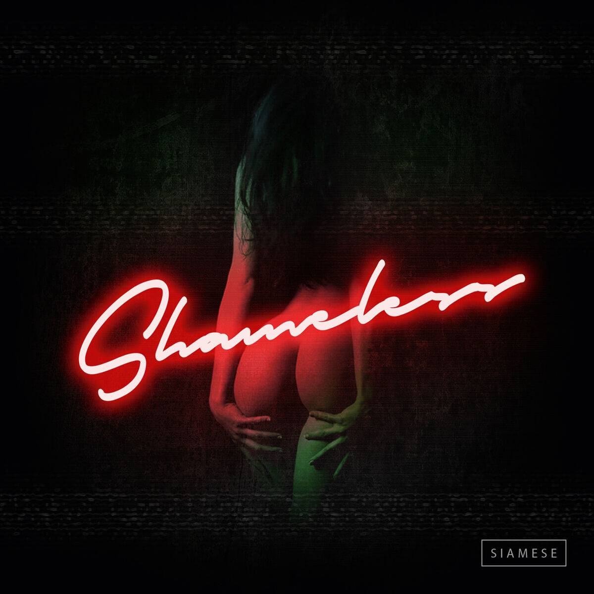 Album cover of Shameless