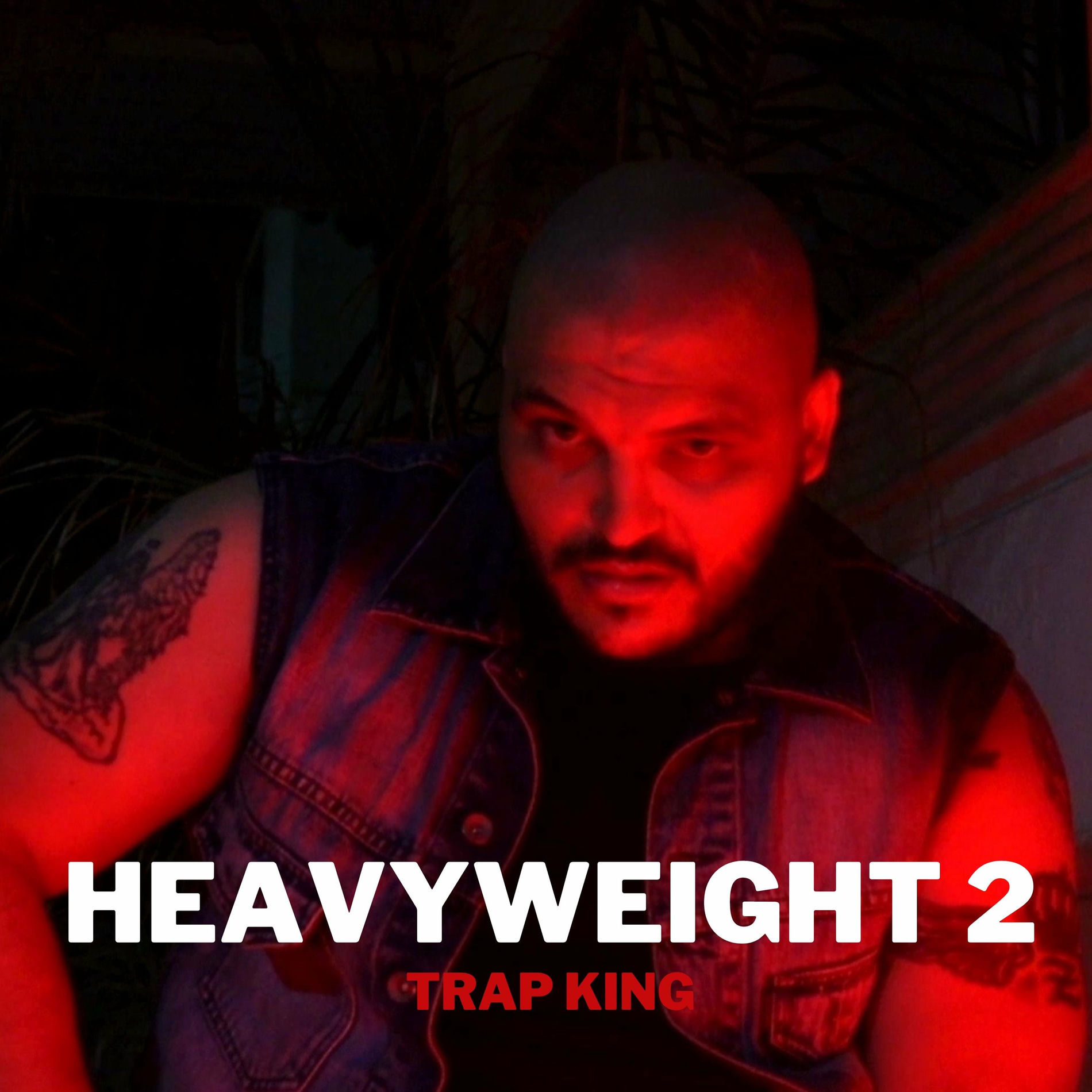 Album cover of Heavyweight 2