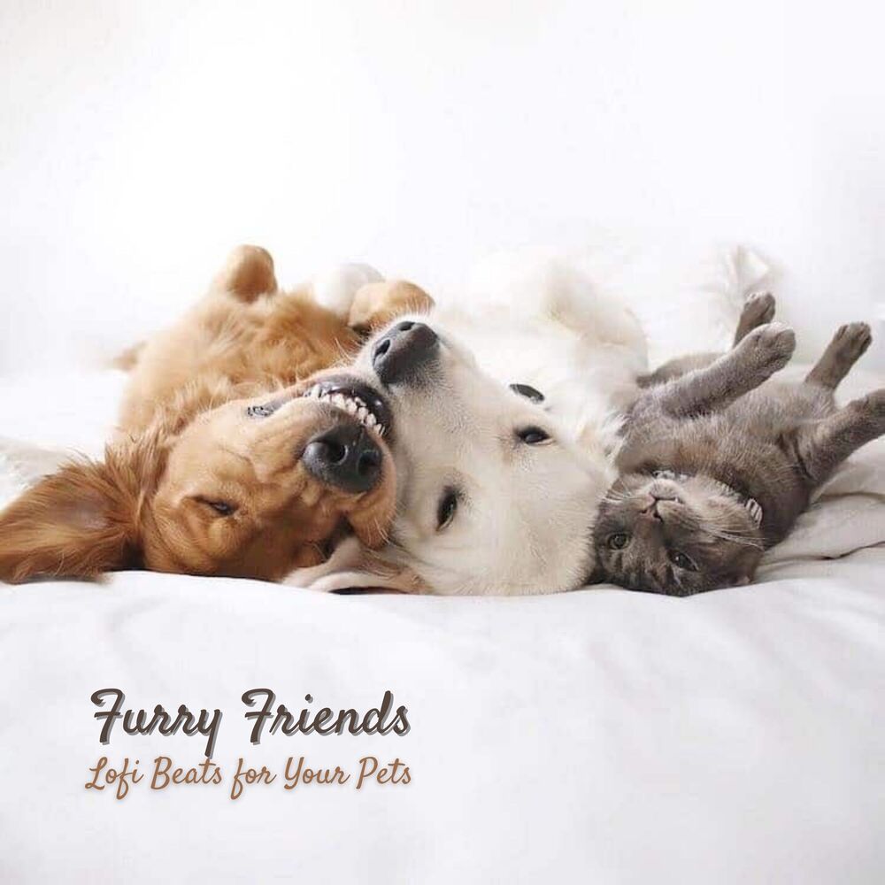 Picture of Furry Friends: Lofi Beats for Your Pets