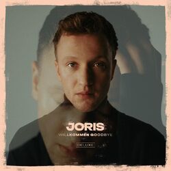 Cover of Willkommen Goodbye (Deluxe)
