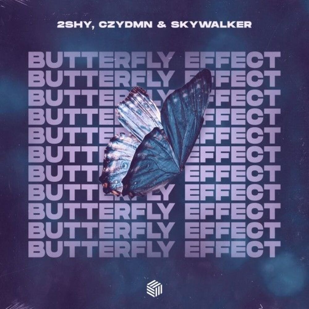 Picture of Butterfly Effect