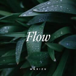 Cover of Flow