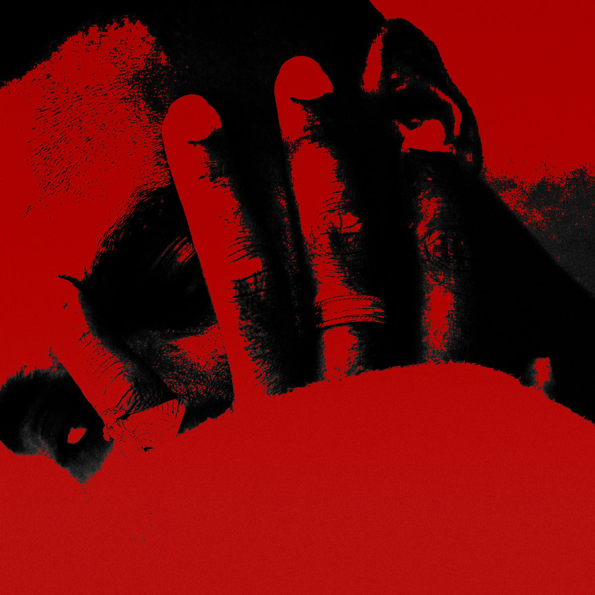 Album cover of If I Die