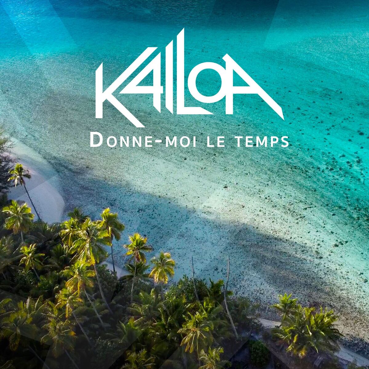 Album cover of Donne-moi le temps