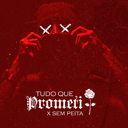 Cover of Tudo Que Prometi
