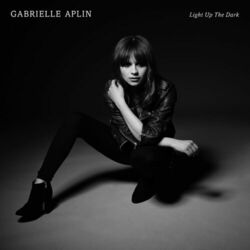 Cover of Light up the Dark