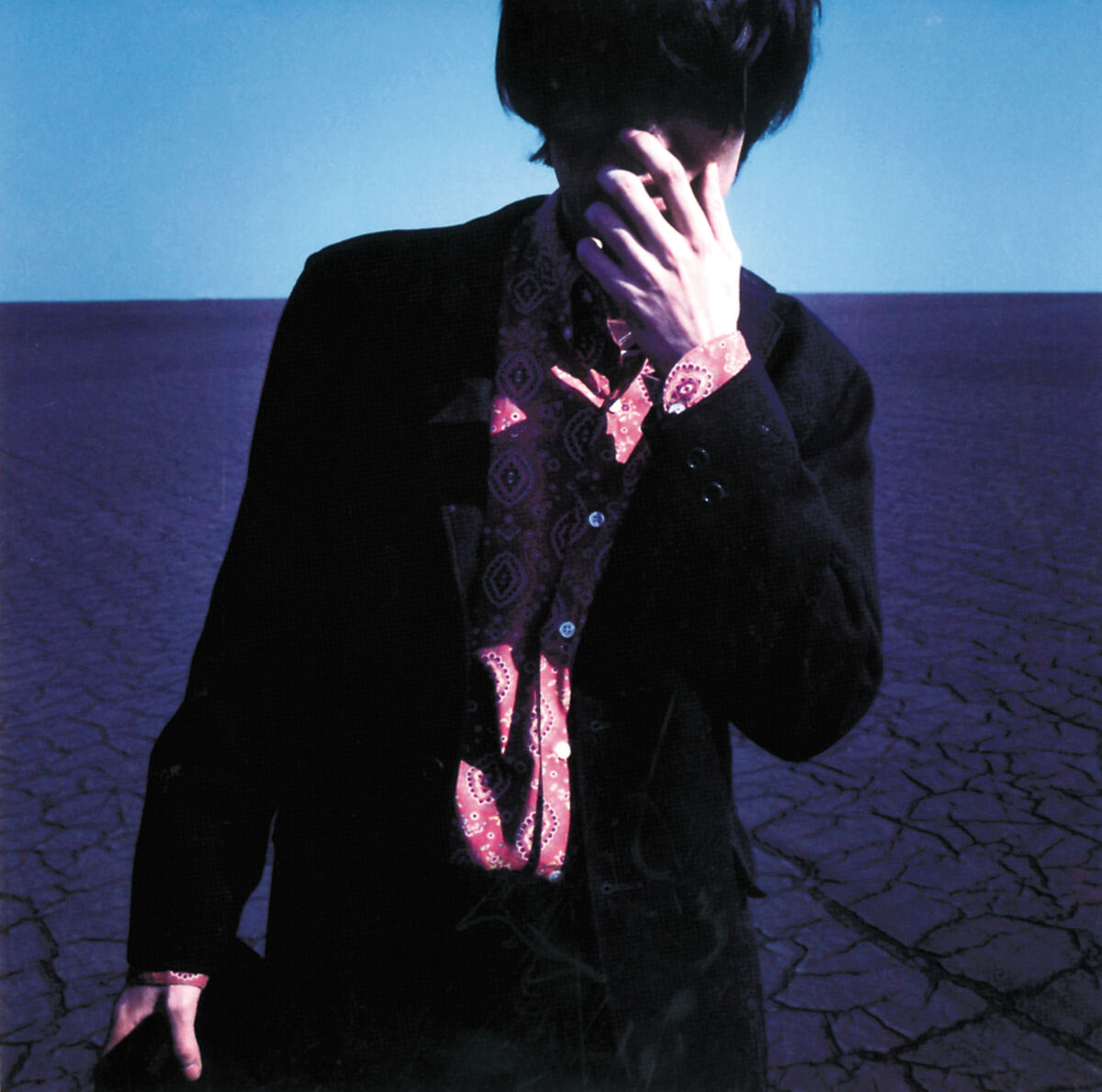 Album cover of Ainitsuite