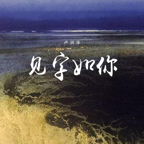 见字如你