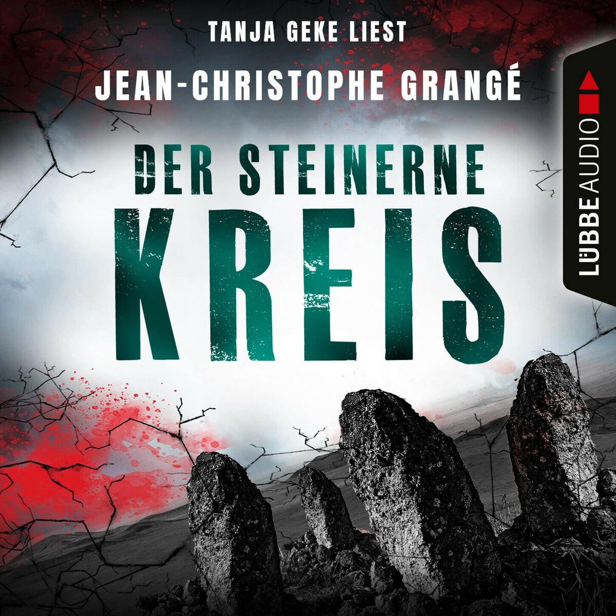 Album cover of Der steinerne Kreis (Gekürzt)