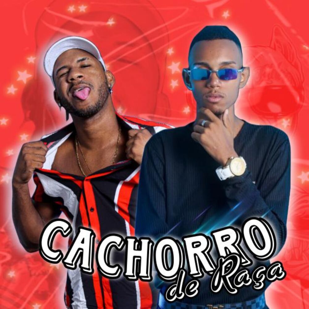 Picture of Cachorro de Raça