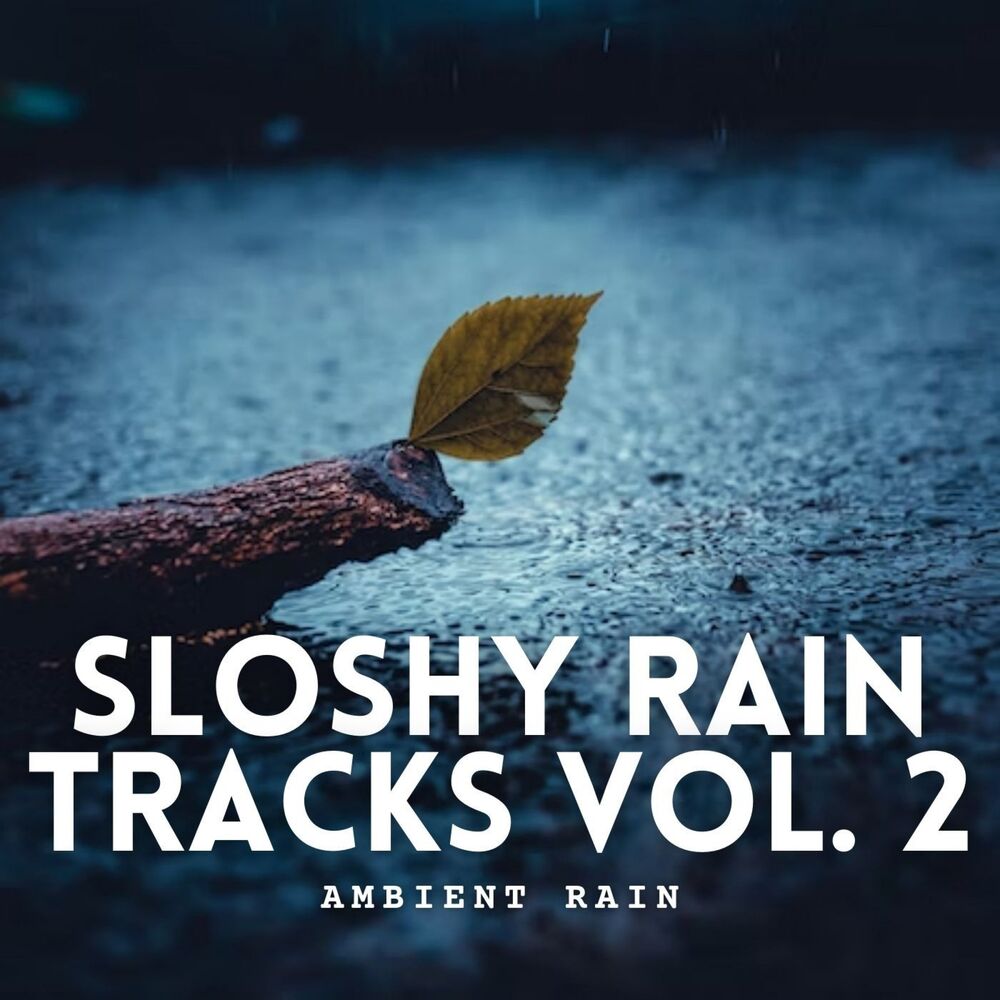 Picture of Ambient Rain: Sloshy Rain Tracks Vol. 2