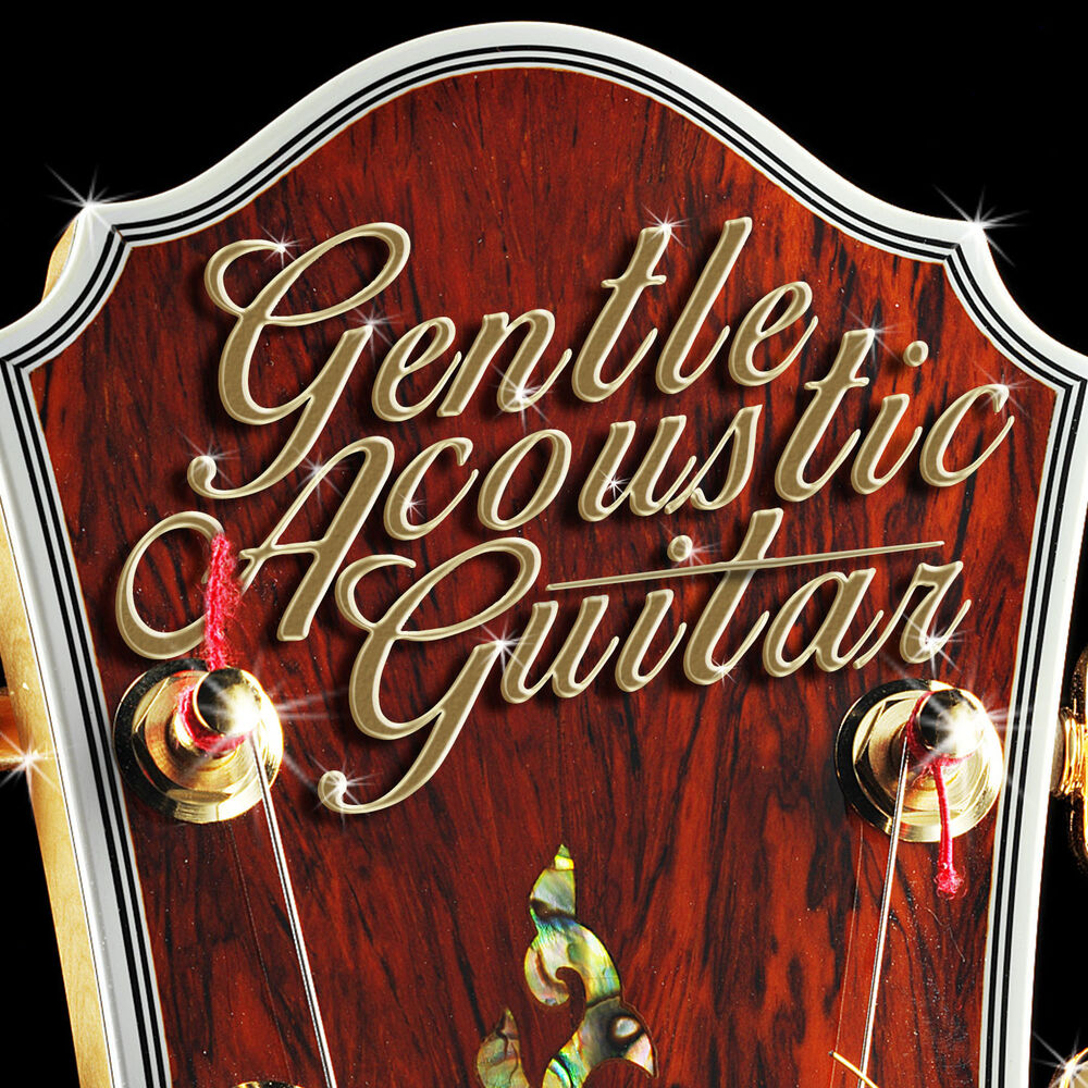 Picture of Gentle Acoustic Guitar