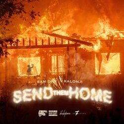 Cover of Send Them Home (feat. SamDan)