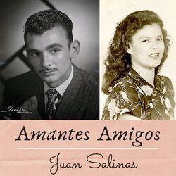 Cover of Amantes Amigos