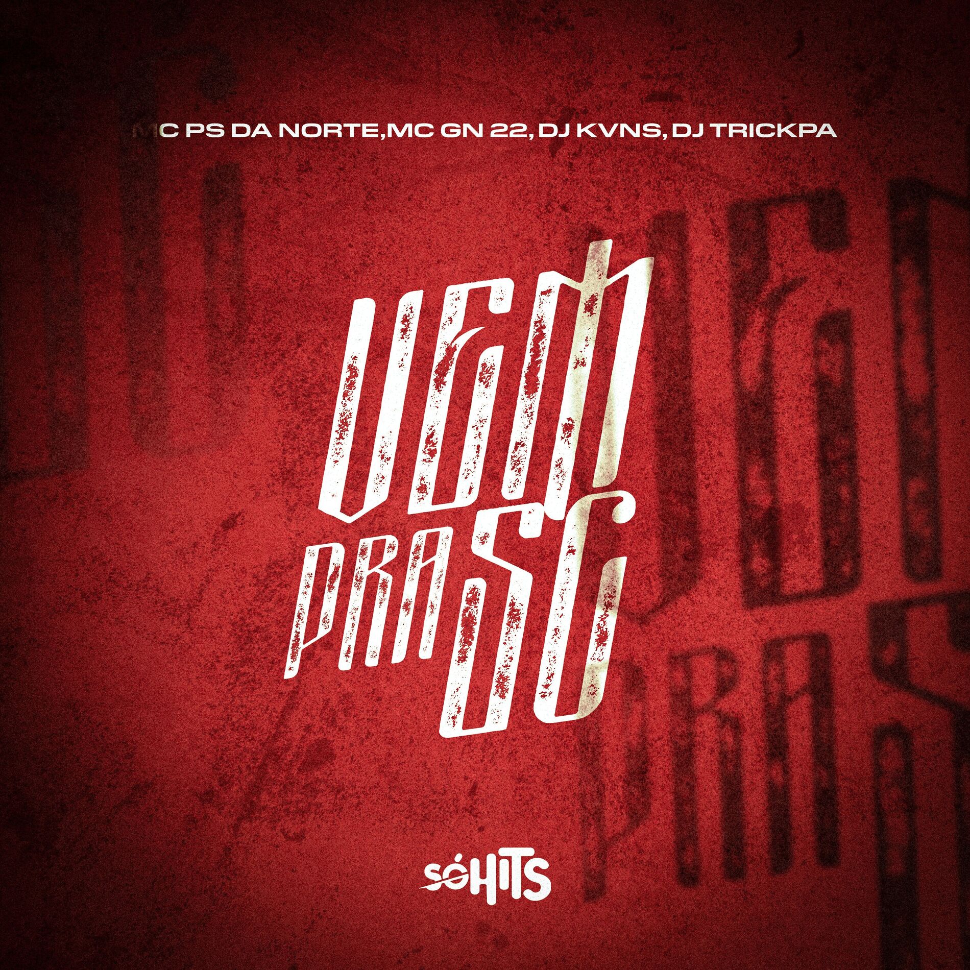 Album cover of Vem pra Sc