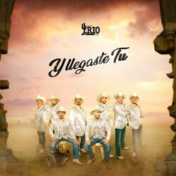 Cover of Y Llegaste Tu