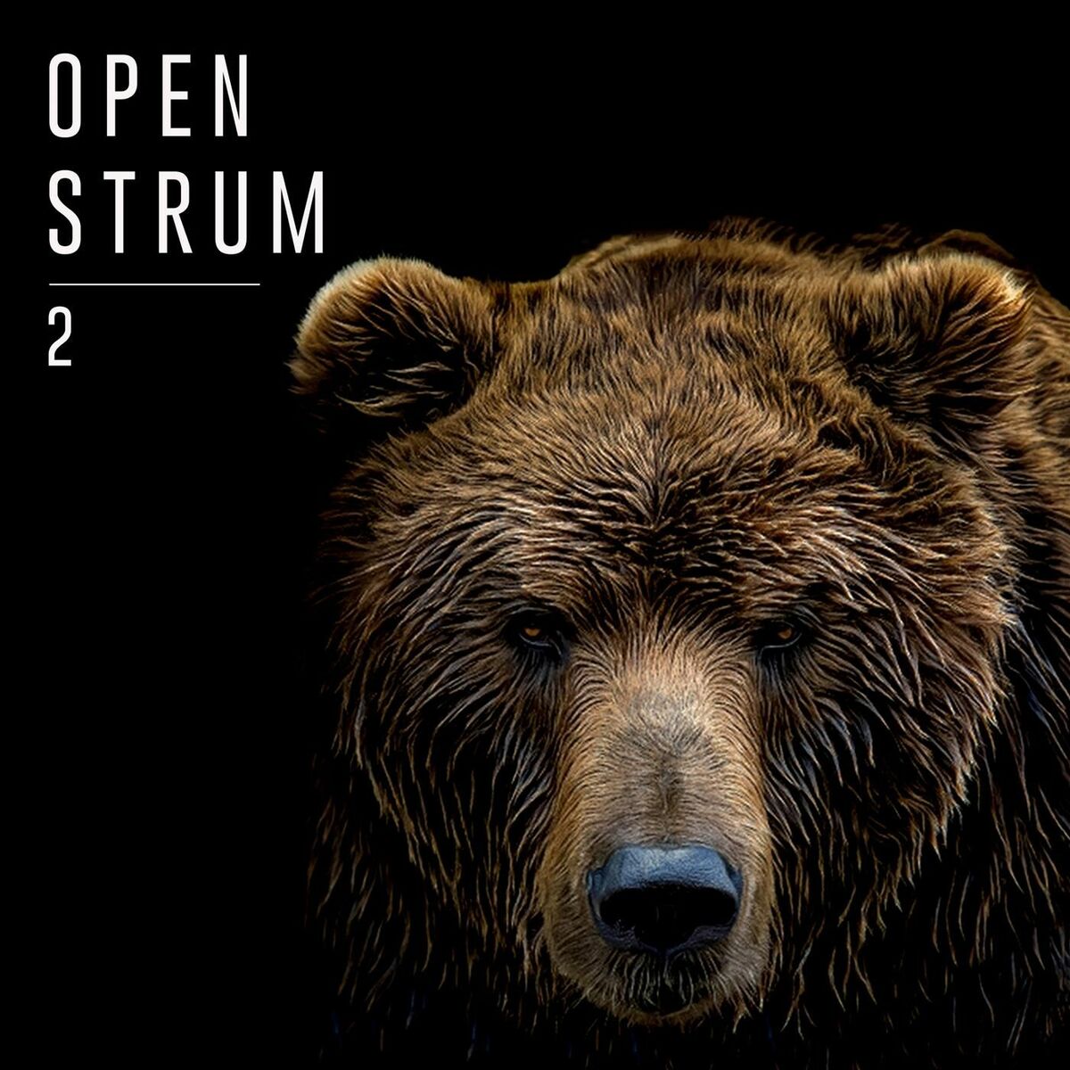 Album cover of Open Strum 2