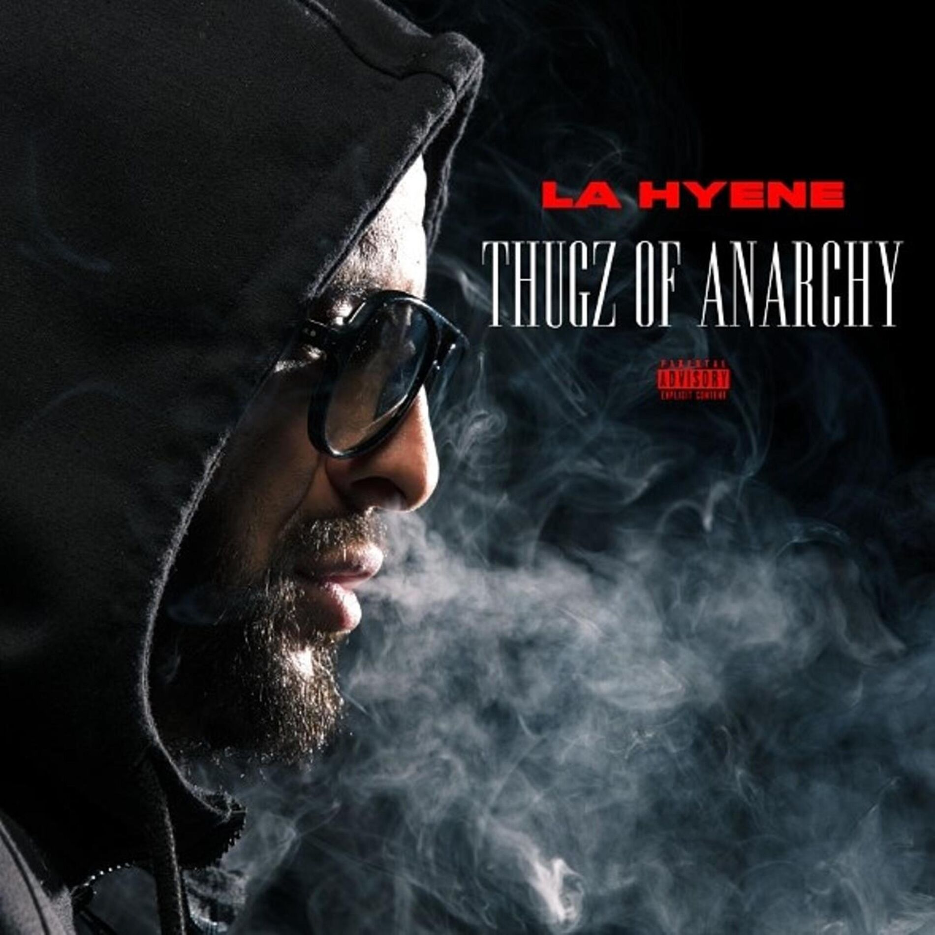 Album cover of Thugz of Anarchy