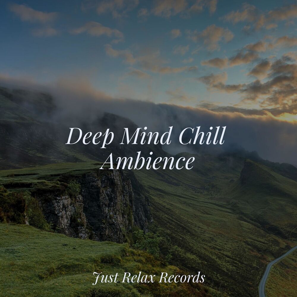 Picture of Deep Mind Chill Ambience