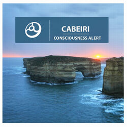 Cover of Consciousness Alert