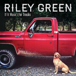 Cover of If It Wasn't For Trucks