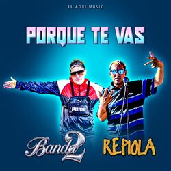 Cover of Por que te Vas