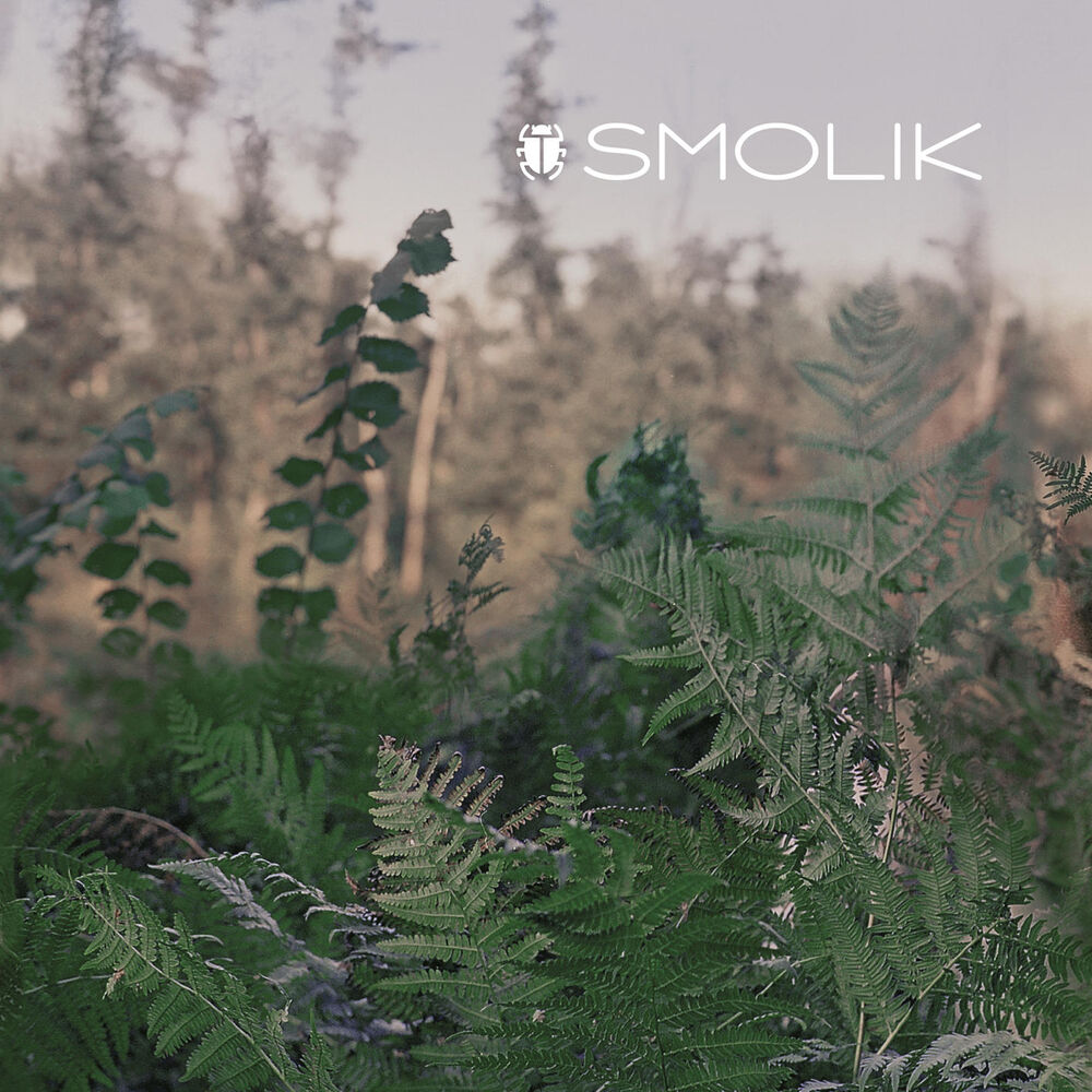 Picture of Smolik 2