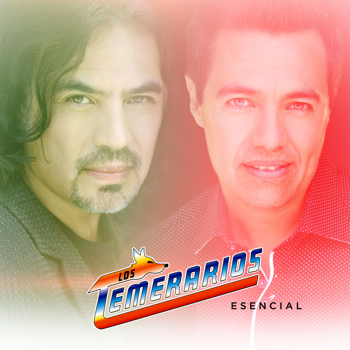 Album picture of Los Temerarios Esencial