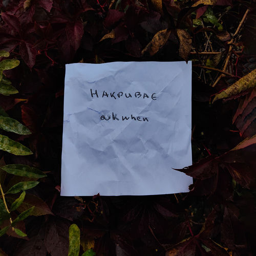 накриває