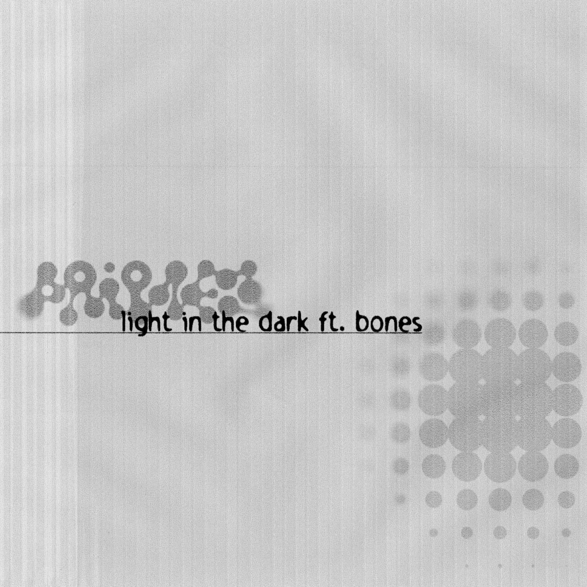 Album cover of Light in the Dark (feat. BONES)