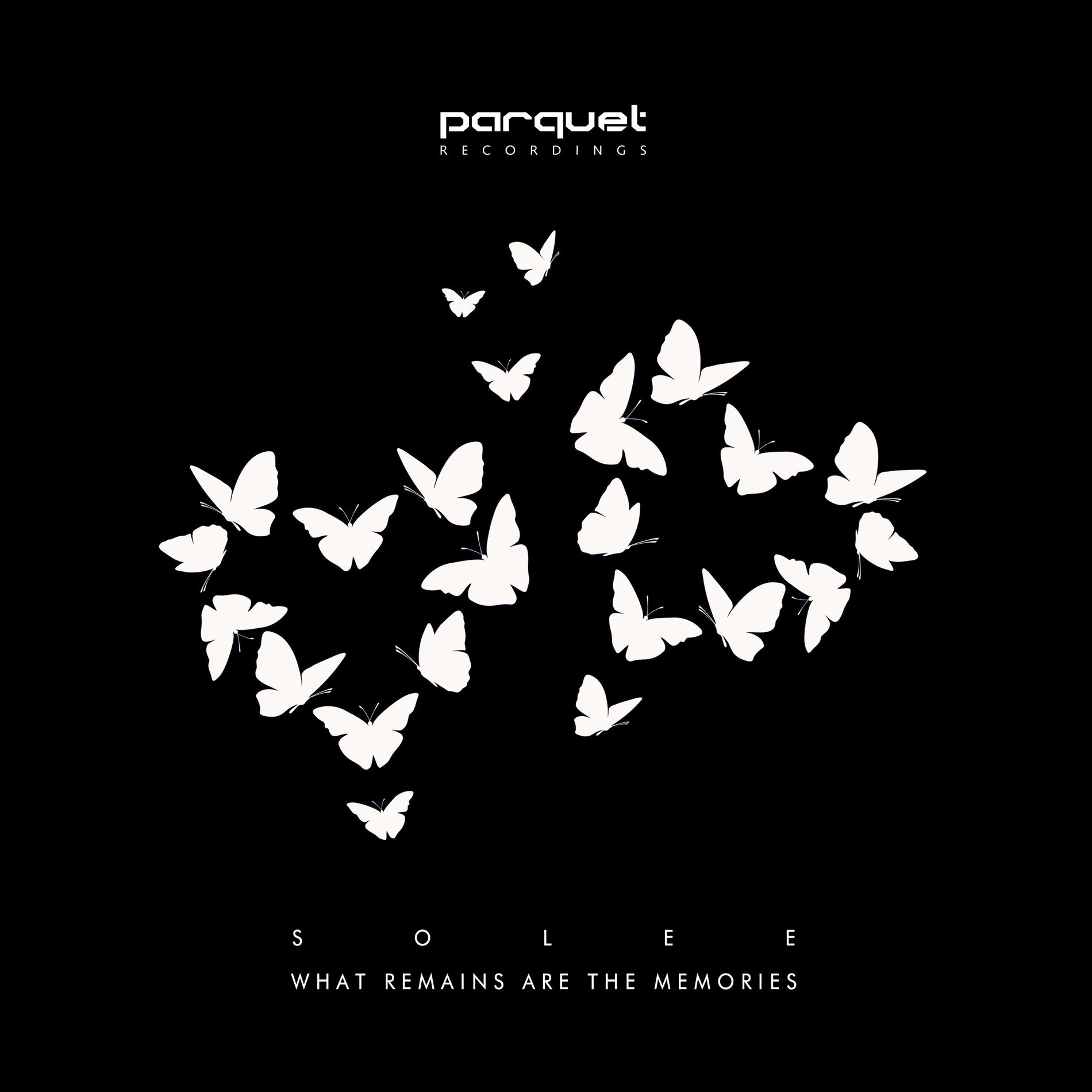 Album cover of What Remains Are the Memories